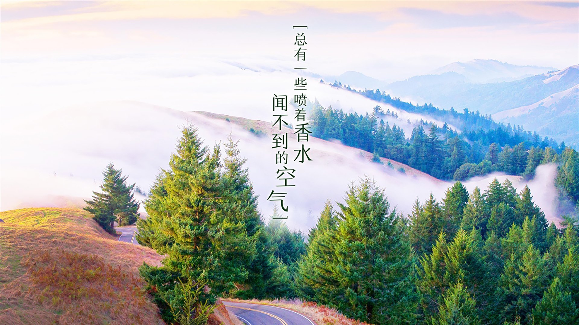 高校体育赛事品牌传播与粉丝经济,体育赛事品牌营销