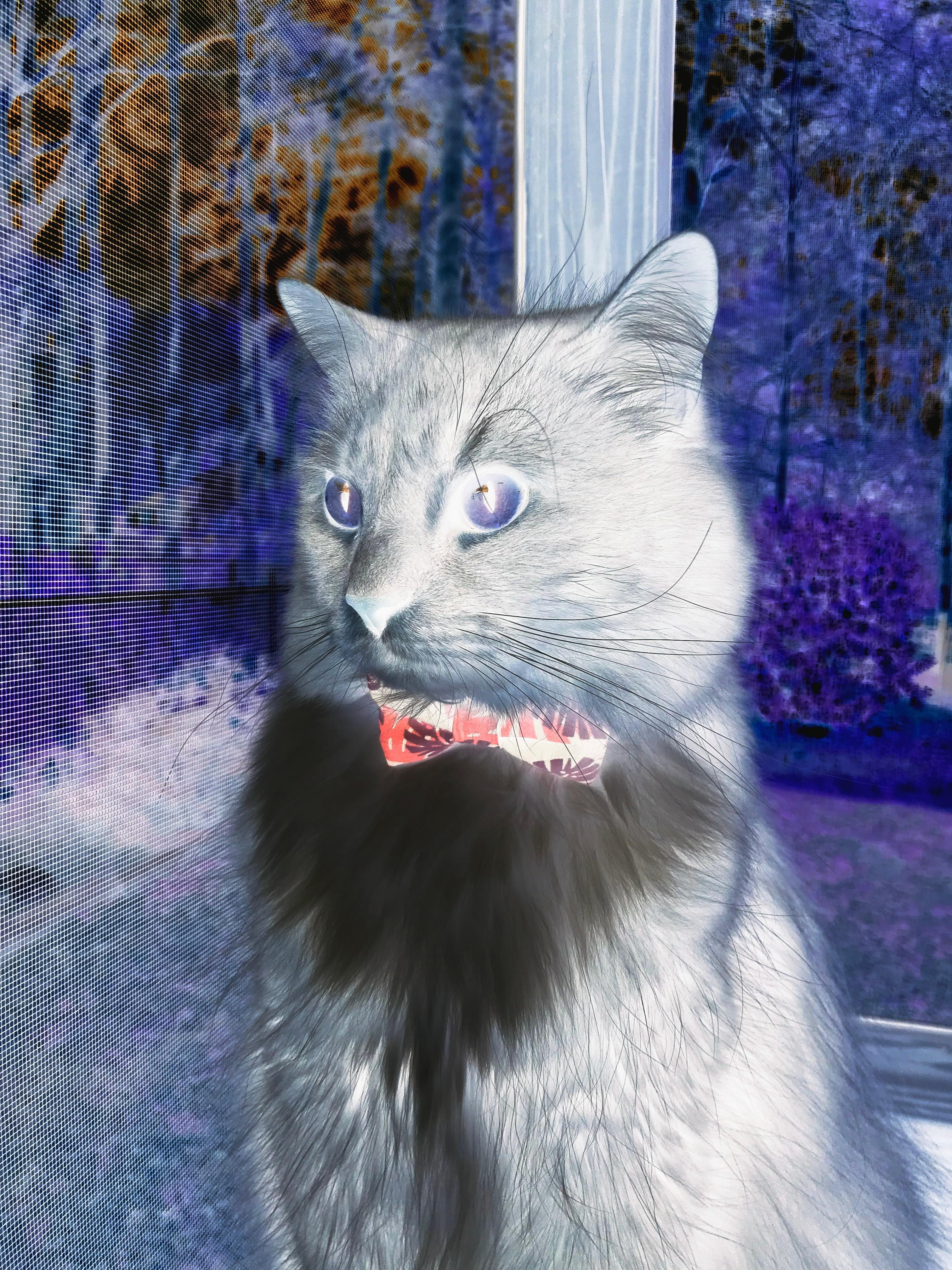 PSG球队氛围调整成未来关键,psg是哪支球队